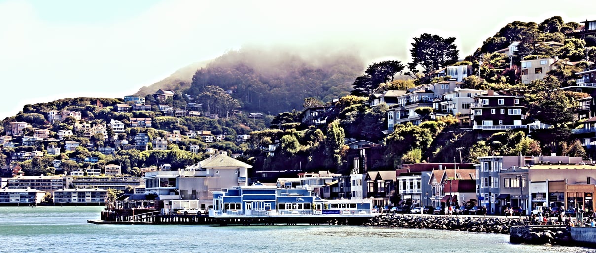 Home_security_systems__Sausalito_Marin_County_California-253742-edited.jpg